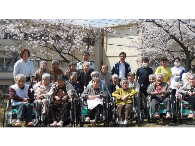 満開の桜がとてもきれいです