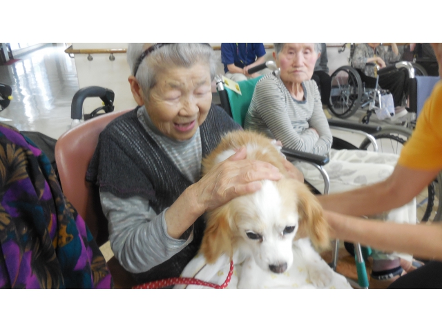 かわいくて大人しいです！