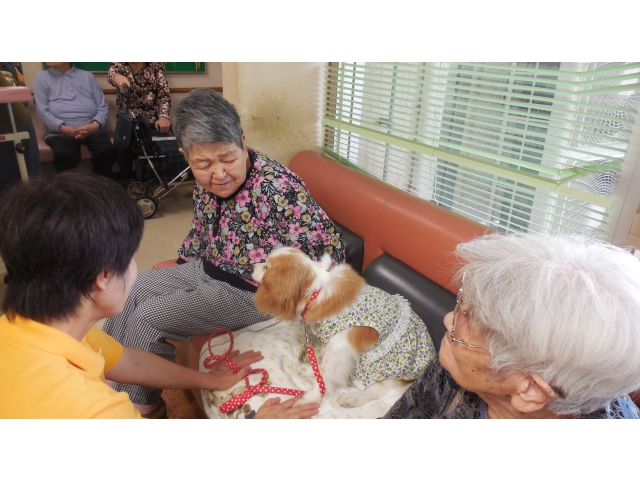 とても人なつっこいワンちゃんです