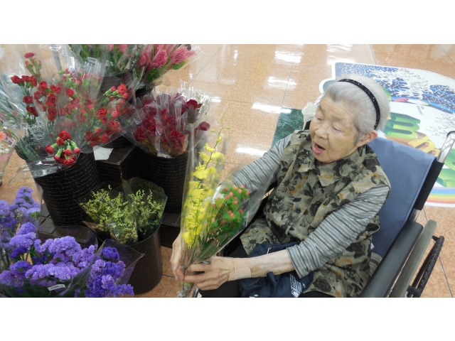 綺麗な花を見つけました！