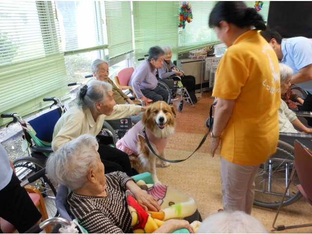とっても人懐っこいです