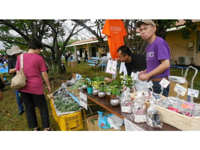 弥富の里も来てくださいました！