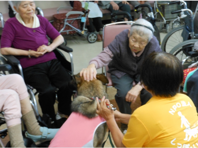 撫でられてもじっとしています