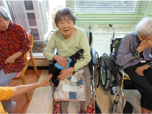 まるで我が子のようです