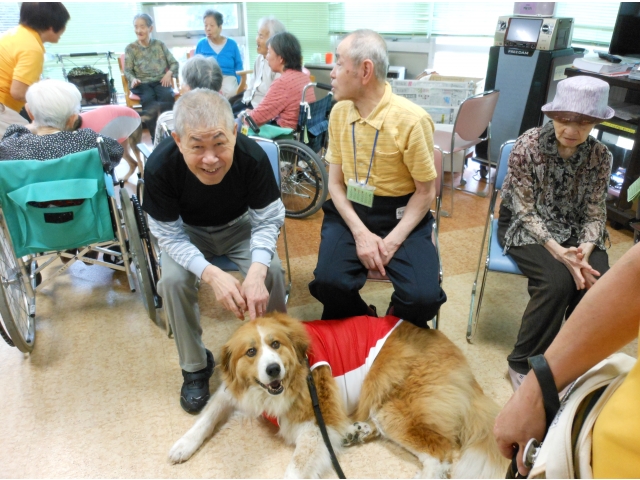 ワンちゃんもリラックスしています