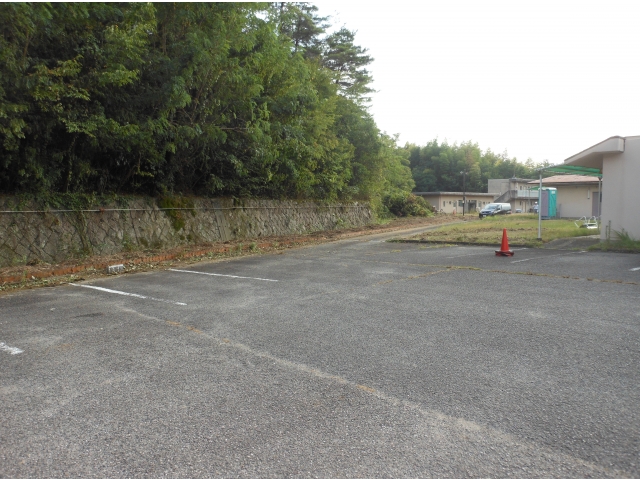 あっという間に伐採！