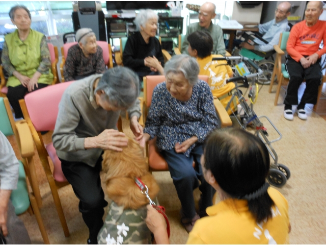 とてもかわいいですね。