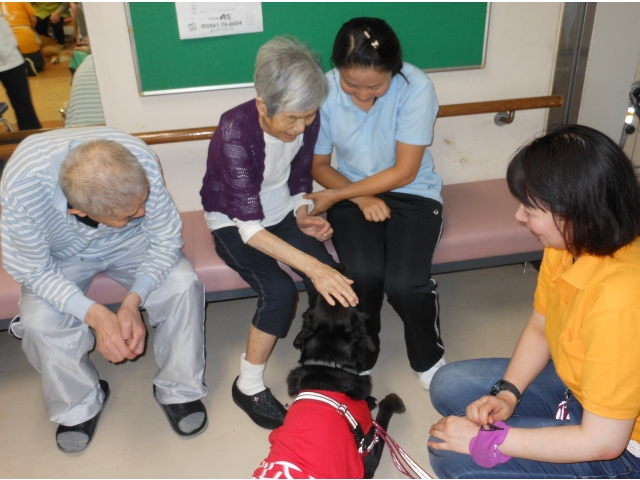 撫でられてもじっとしています。