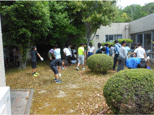 落ち葉がたくさんあります。