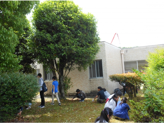 一生懸命やって下さっています。