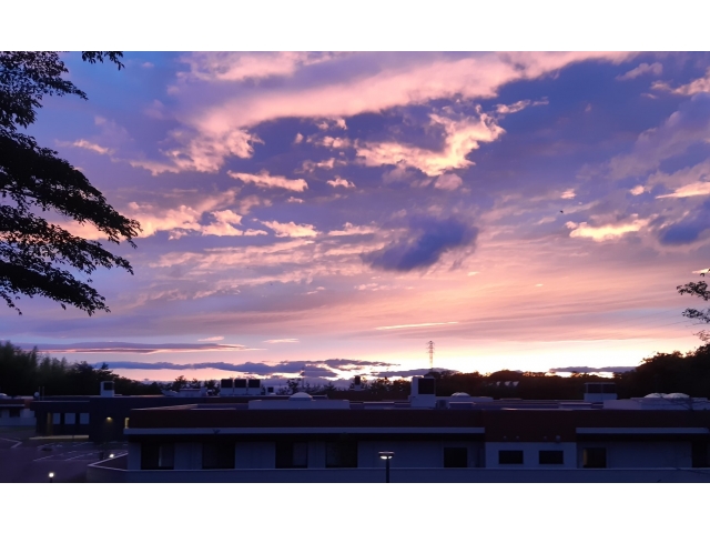 綺麗な夕日と瀬戸苑