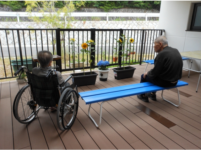 テラスで鑑賞中