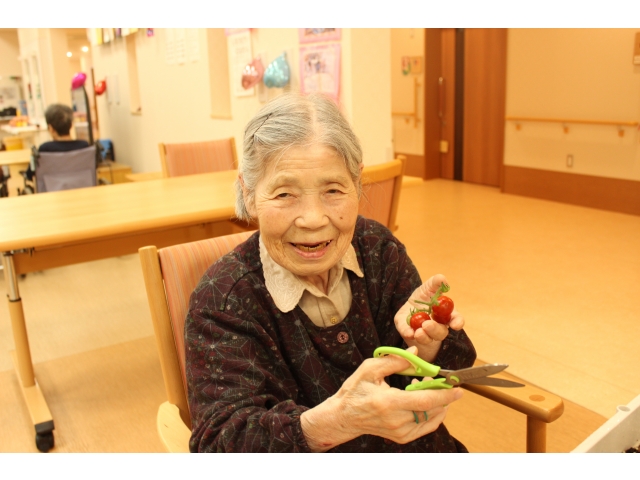 摘みました⤴もぎたて～