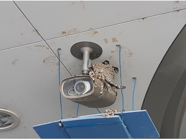 こんなところに‼