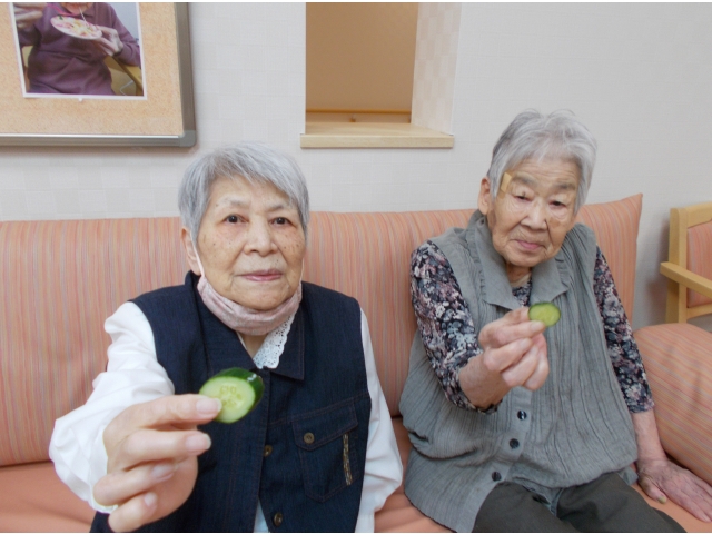 きゅうりで乾杯