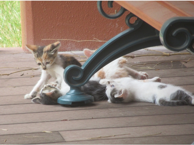 いや～遊んでます