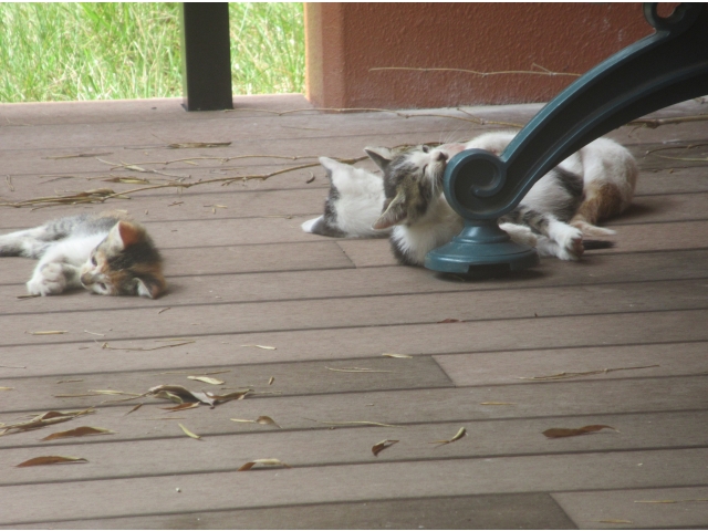 ママ帰ってこないね～