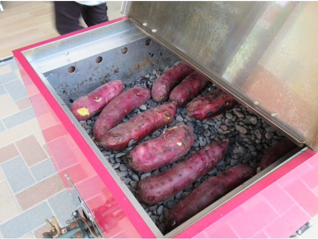 紅はるかです。