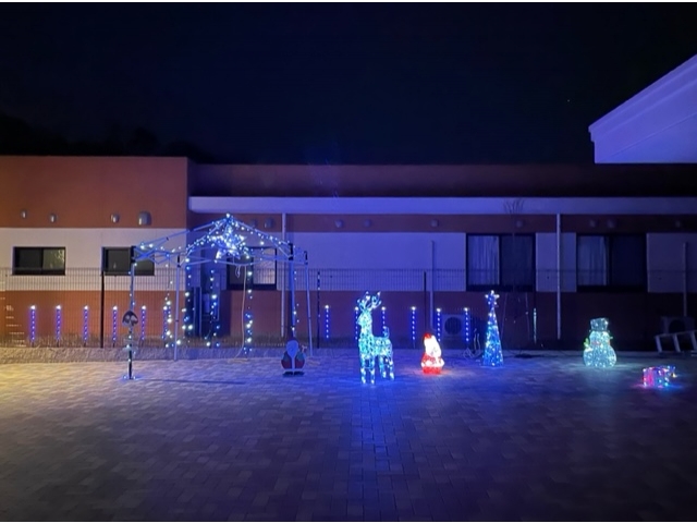 夜の瀬戸苑は幻想的です