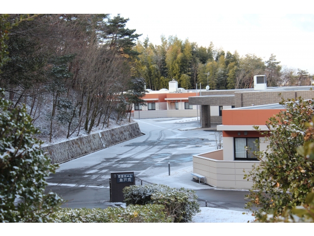 うっすらと雪が積りました！