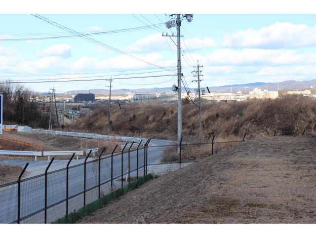 高台から市街地を眺めます。