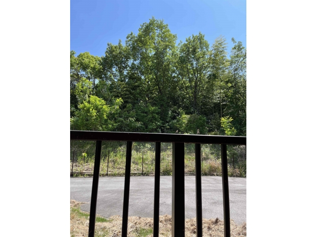 瀬戸苑の周りは、緑がいっぱい