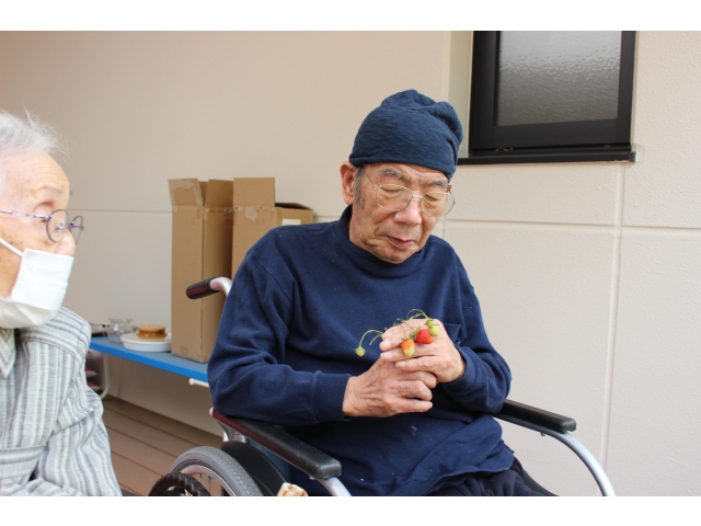 鑑賞もいいですね。