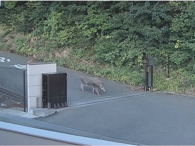 お邪魔しま～す！