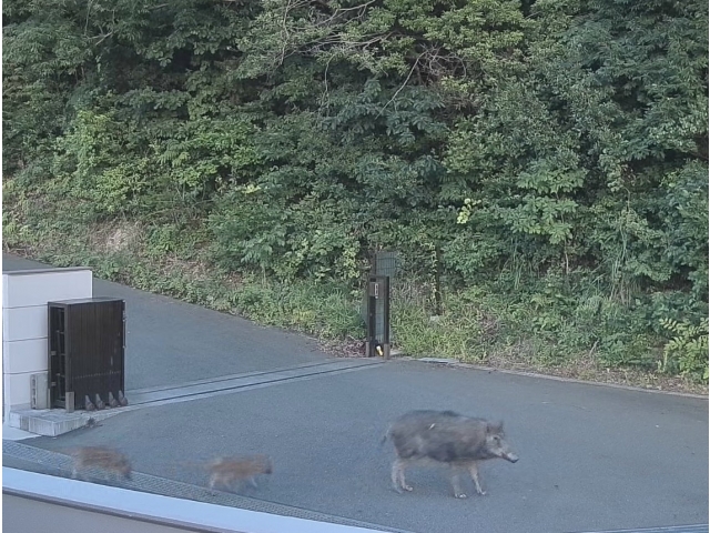 お母さん待って！