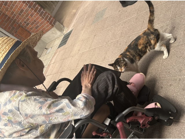 名物猫？招き猫が出迎えてくれました