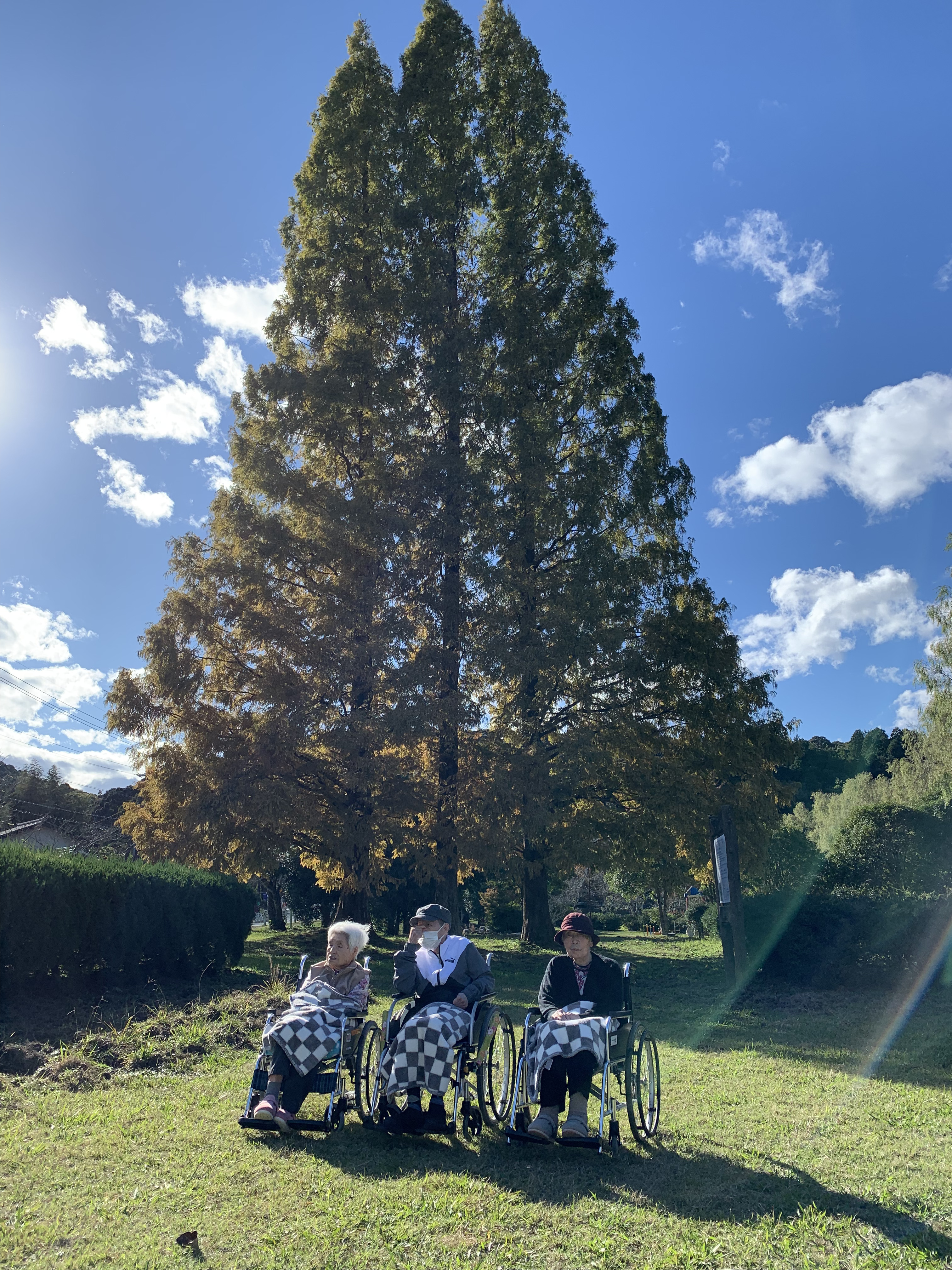 令和6年11月18日撮影