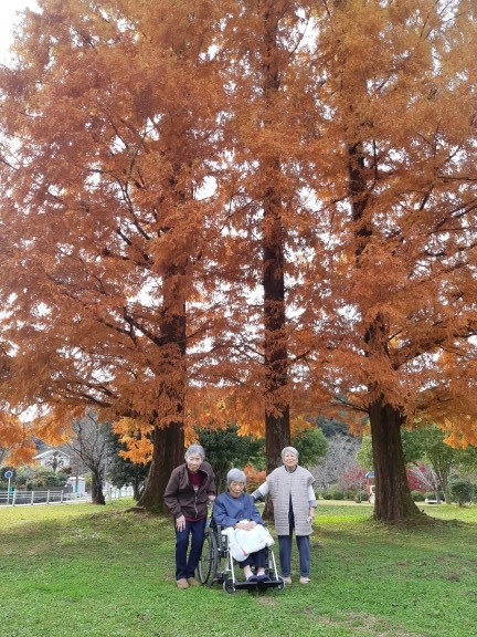 令和4年11月17日撮影（2年前）