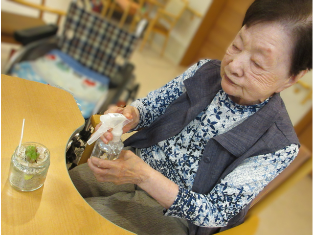 水やり
