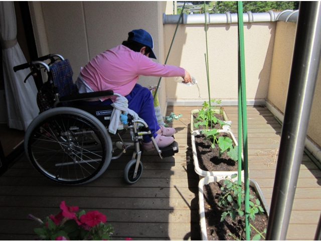 水やりは私にまかせて!!