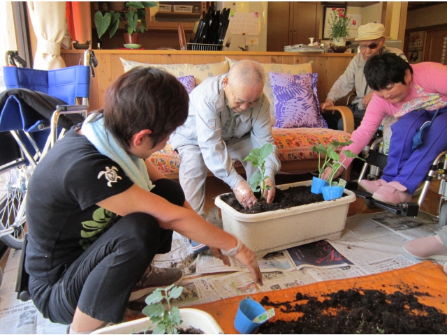 プランターに土を入れます