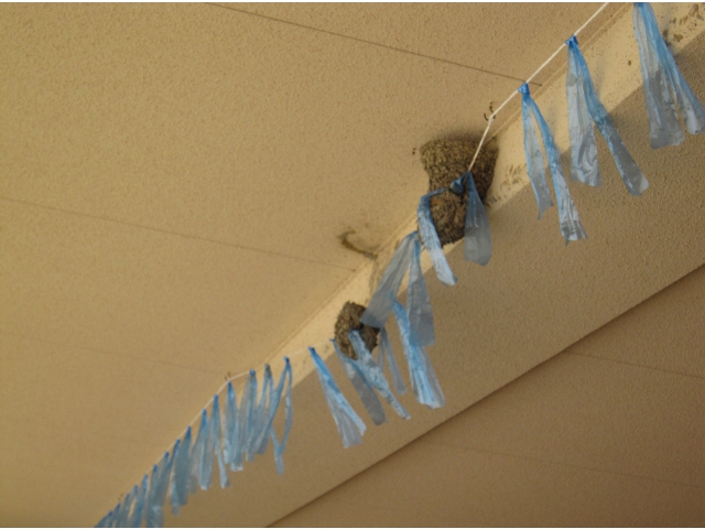 風が吹くとフラフラ