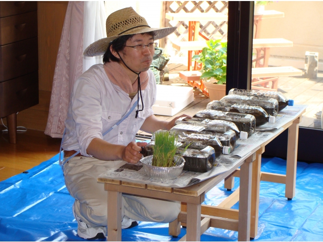 このペットボトルに植えていきます。