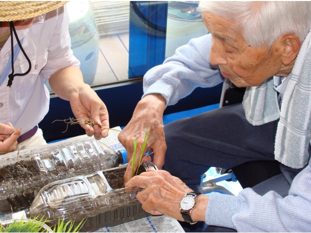 こうやって、植える　　　だぞ！