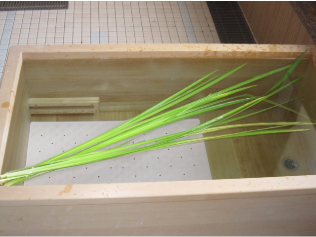 こんな感じに入れてみました。