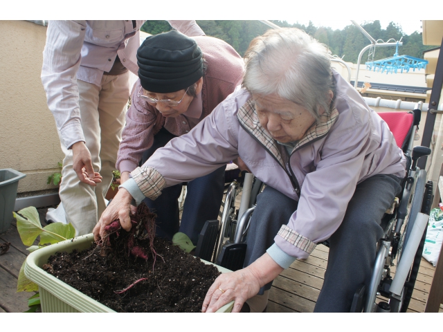 一緒に掘りましょ