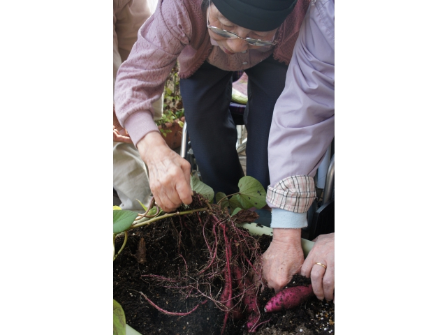 なかなか見えて　　　　
こないわね