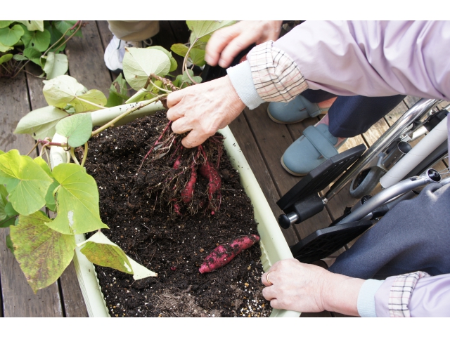 見えてきたぁ！