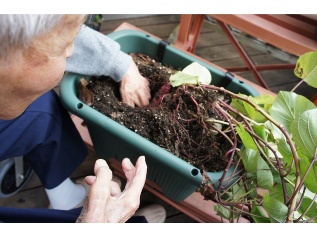 なかなか出でこない。　　　　
しぶといな