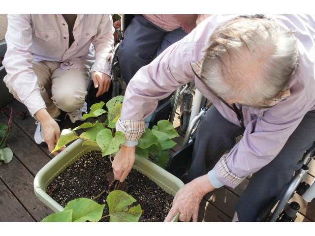 私も掘ってみるか