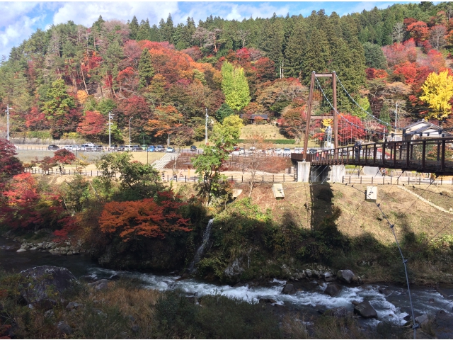 きれいですね。