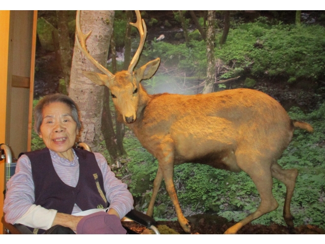 設楽の森にいる動物たちがお出迎え