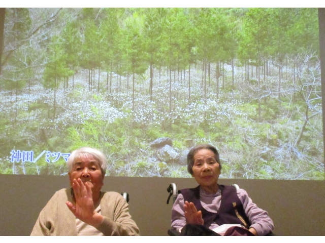 設楽の自然を紹介しています