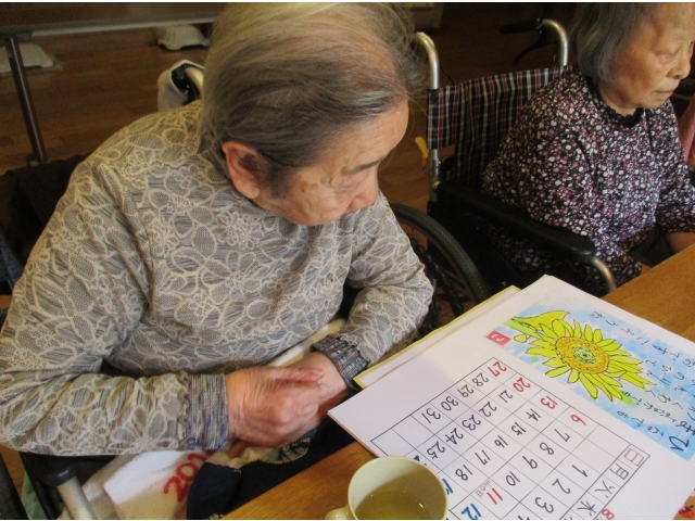 きれいなひまわりだね