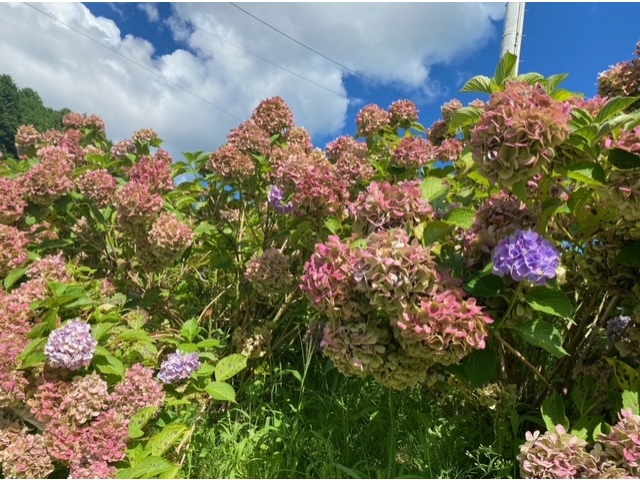 9月なのにこの美しさ