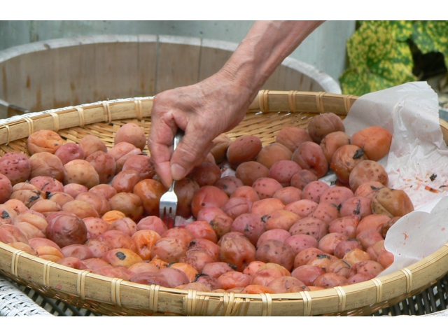 梅干を乾燥させている様子